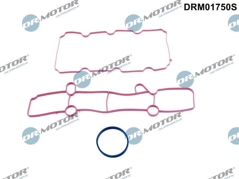 Gasket Set, intake manifold DRM01750S