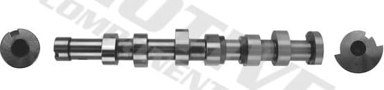 Camshaft T2186