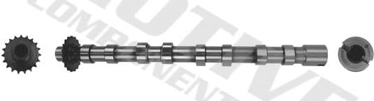 Camshaft T4001