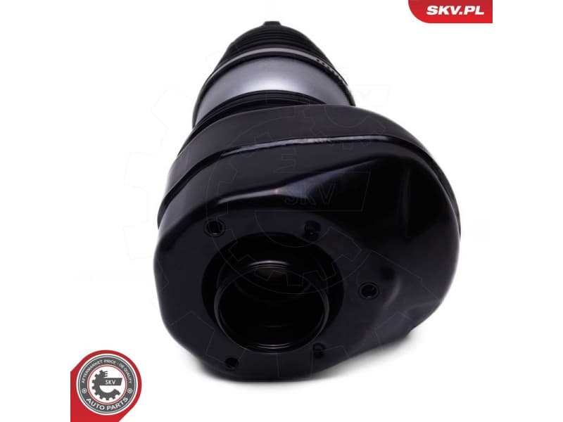 Air Suspension Strut 58SKV081 - image 3