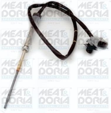 Sensor, exhaust gas temperature 12172