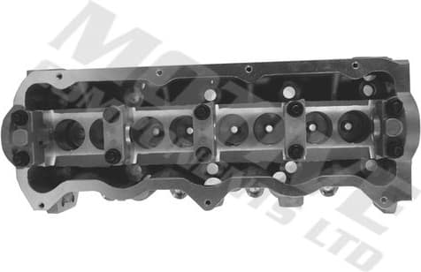 Cylinder Head CYW806