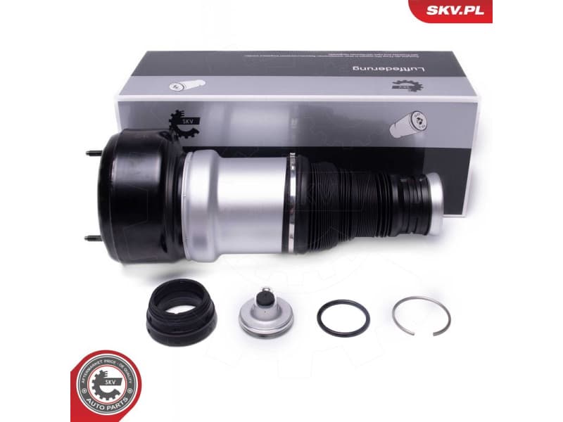 Air Suspension Strut 58SKV083