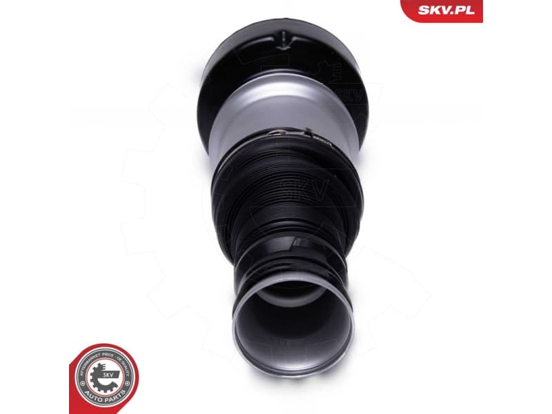 Air Suspension Strut 58SKV083 - image 2