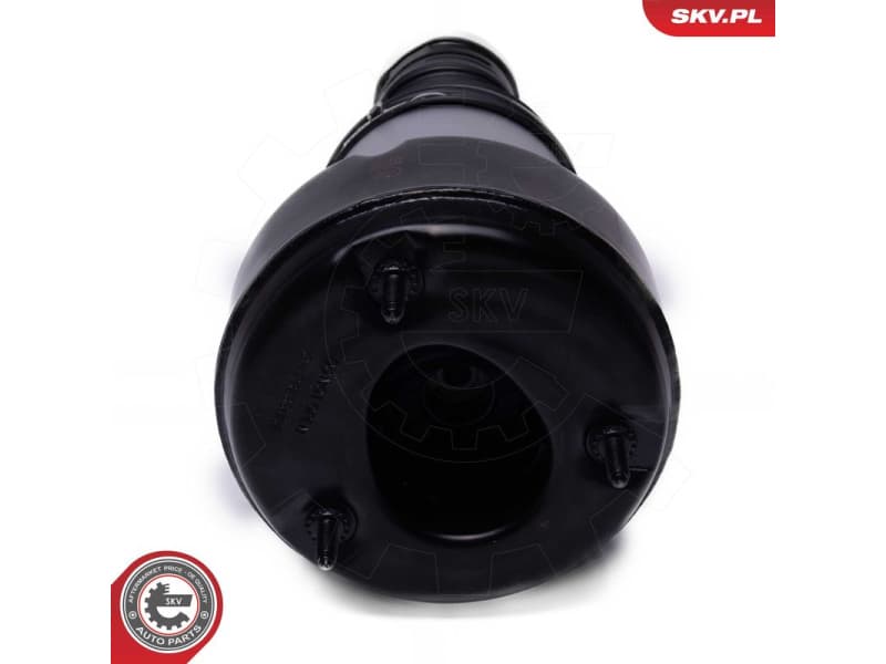 Air Suspension Strut 58SKV083 - image 3