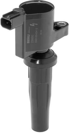 ZS600 (BorgWarner (BERU))