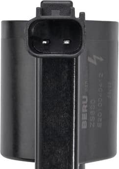 ZS600 (BorgWarner (BERU)) - image 3