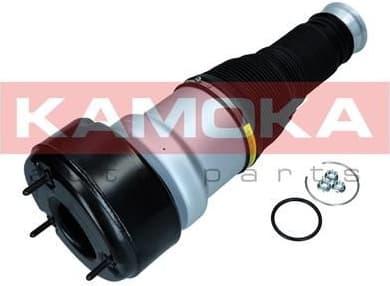 Air Spring, suspension 2079039