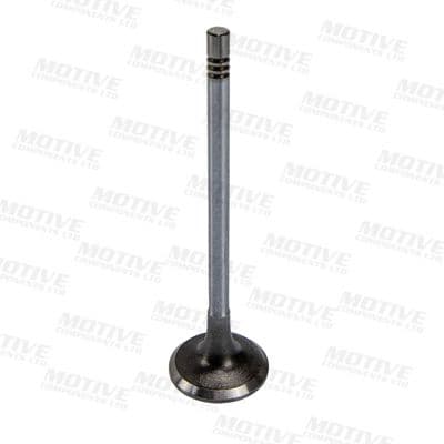 Intake Valve IV10040