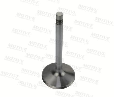 Exhaust Valve EV10039 - image 5