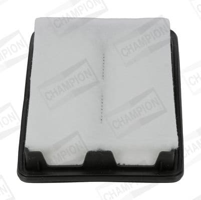 Air Filter CAF101392P