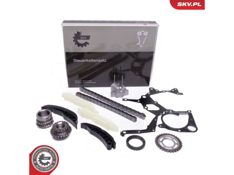 Timing Chain Kit 21SKV166