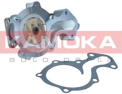 Water Pump, engine cooling T0290