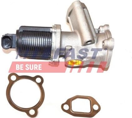 EGR Valve FT60204