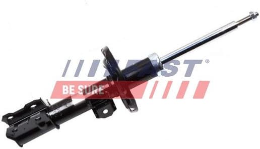 Shock Absorber FT11309