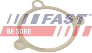 Gasket, EGR valve FT50605