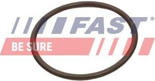 Seal Ring, charge air hose FT49933