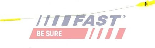 Oil Dipstick FT80316