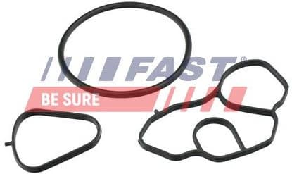 Seal Ring, oil cooler (lubrication) FT48936