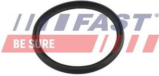 Seal Ring, charge air hose FT49854