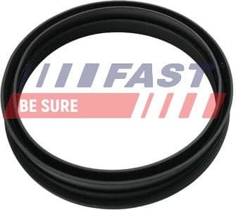 Gasket, fuel pump FT48501 - image 2