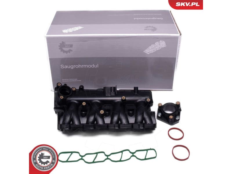 Intake Manifold Module 49SKV081