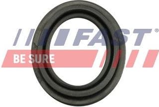 Repair Kit, brake caliper FT32483 - image 2