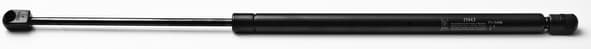 Gas spring FA21943