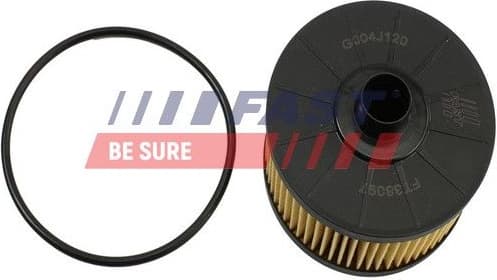 Oil Filter FT38097