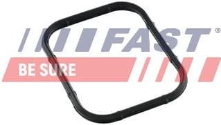 Gasket, intake manifold FT49421