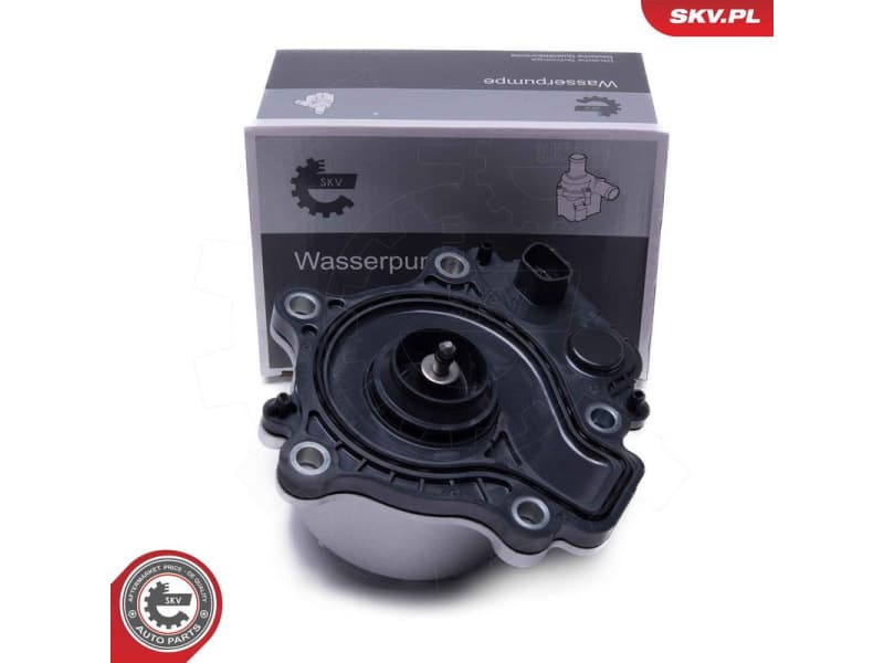 Water Pump, engine cooling 22SKV060
