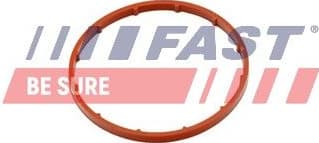 Gasket, vacuum pump FT50701