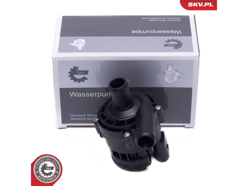 Auxiliary Water Pump (cooling water circuit) 22SKV066