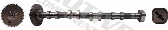 Camshaft T2131