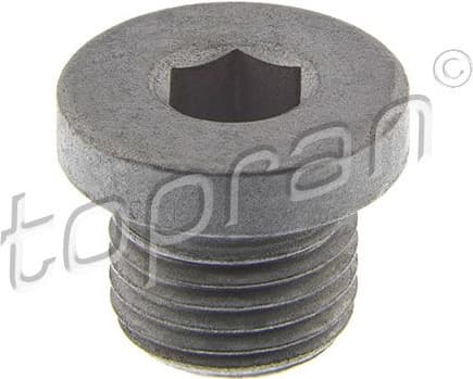 Screw Plug 120142