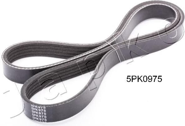 V-ribbed Belt 5PK975