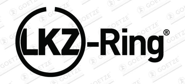 Piston Ring Set Goetze Diamond Coated® LKZ-Ring® 08-451300-00 - image 3