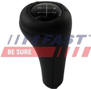 Gear Lever Knob FT09039