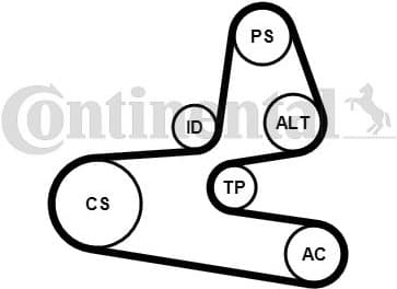 V-ribbed Belt Set 6PK1564K1