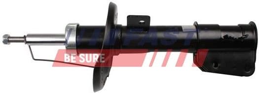 Shock Absorber FT11284