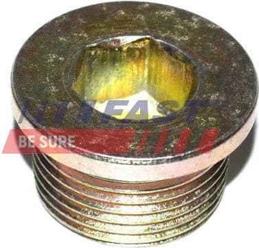 Screw Plug, automatic transmission casing FT94717