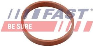 Gasket, intake manifold FT49418