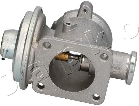 EGR Valve 1500100