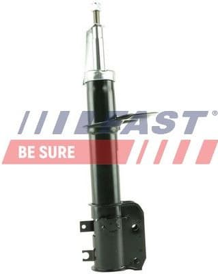 Shock Absorber FT11095