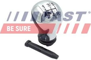 Gear Lever Knob FT00119