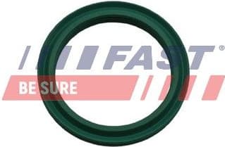 Seal Ring, charge air hose FT48933