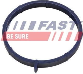 Gasket, intake manifold FT49467 - image 2