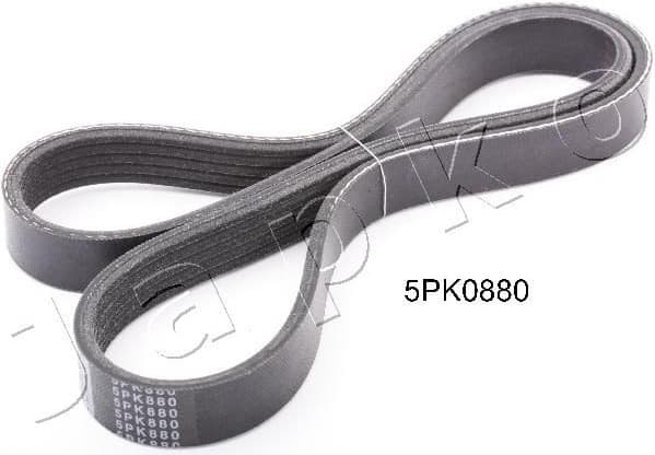 V-ribbed Belt 5PK880