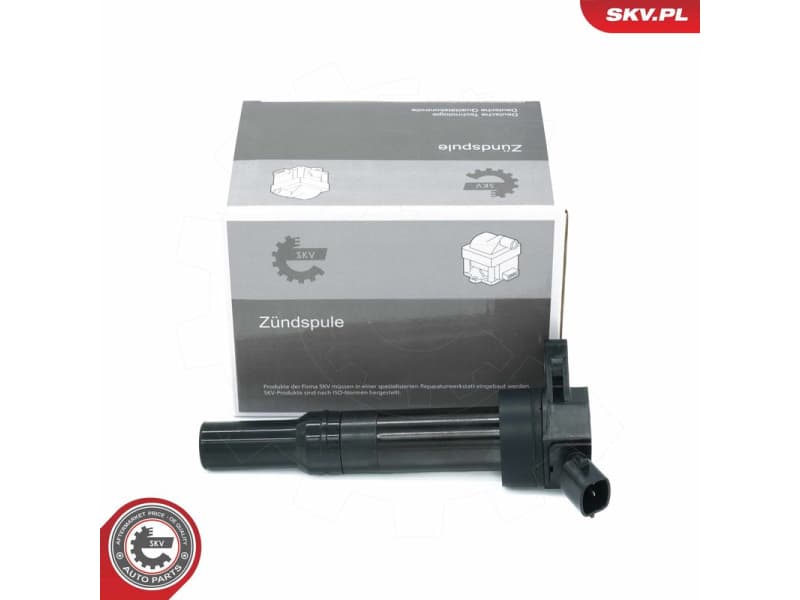 Ignition Coil 03SKV347