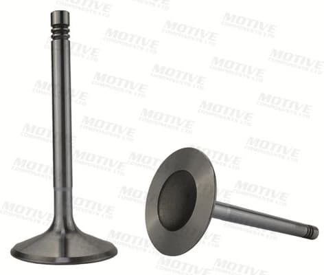 Intake Valve IV10020 - image 2